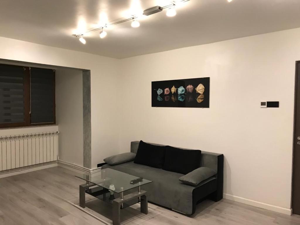 Elegant & Silver Luxury Apartament Κραϊόβα Εξωτερικό φωτογραφία
